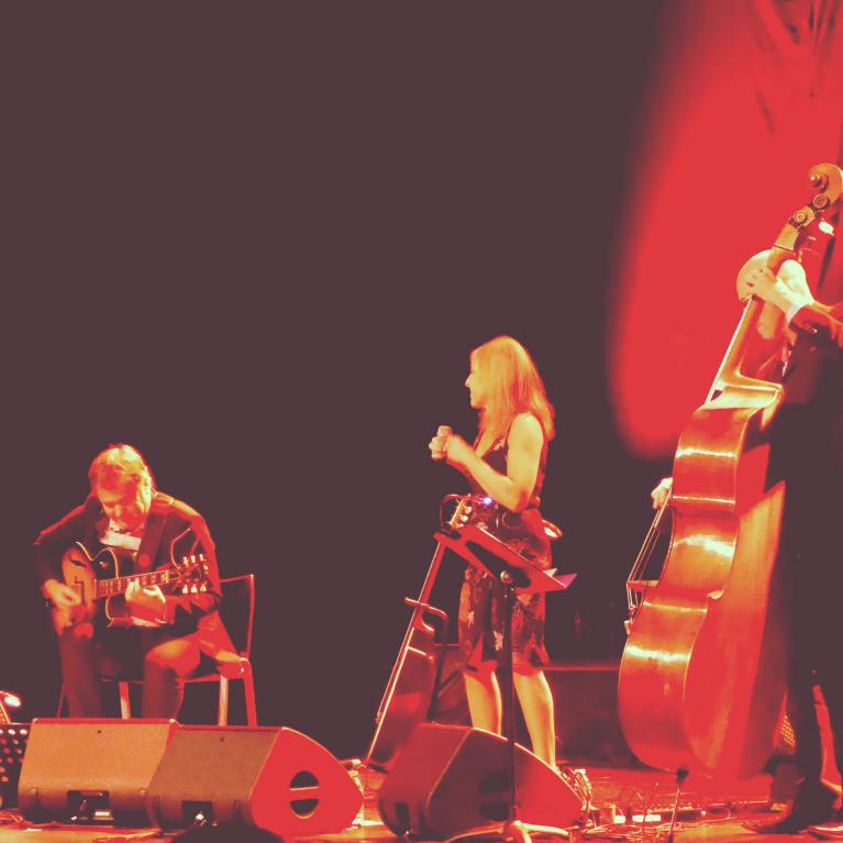 Concert du 24 octobre 2018 au Théâtre Chanzy à Angers (49).